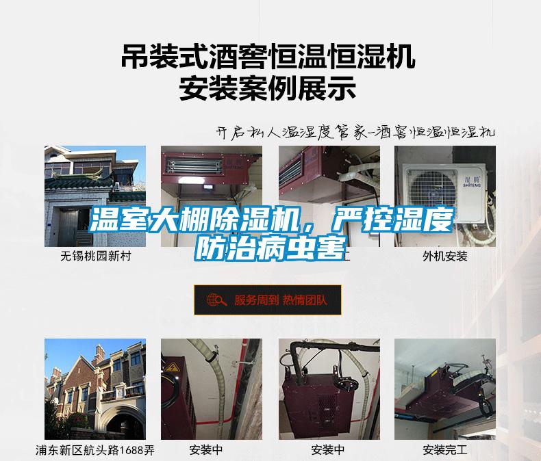 温室大棚粉色视频免费在线观看，严控湿度防治病虫害