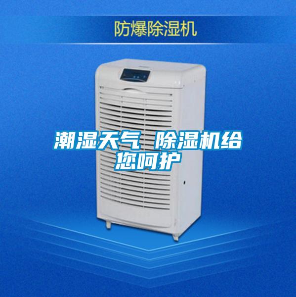 潮湿天气 粉色视频免费在线观看给您呵护