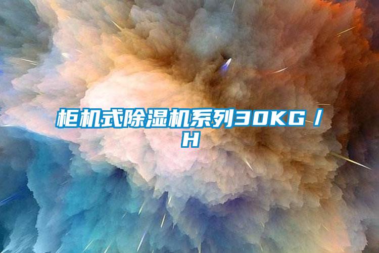 柜机式粉色视频免费在线观看系列30KG／H