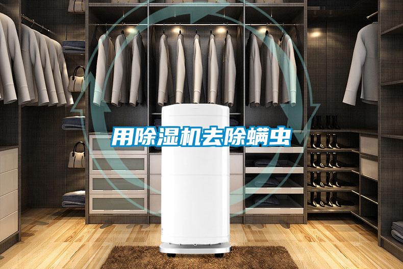 用粉色视频免费在线观看去除螨虫