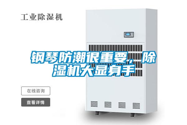 钢琴防潮很重要，粉色视频免费在线观看大显身手