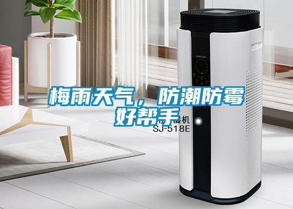梅雨天气，防潮防霉好帮手