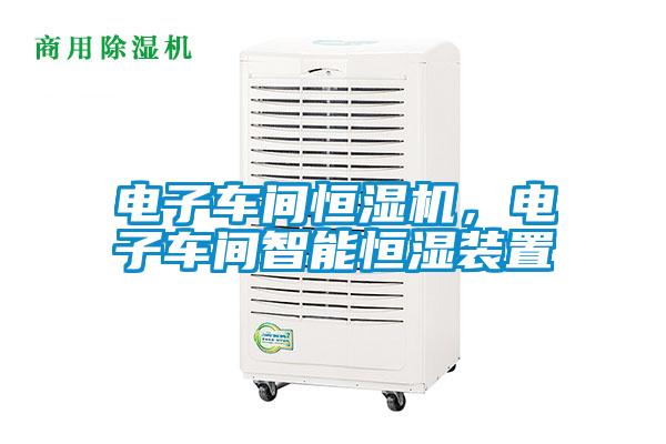 电子车间恒湿机，电子车间智能恒湿装置