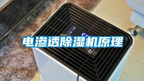 电渗透粉色视频免费在线观看原理