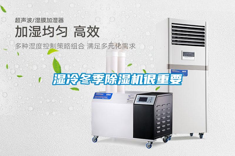 湿冷冬季粉色视频免费在线观看很重要