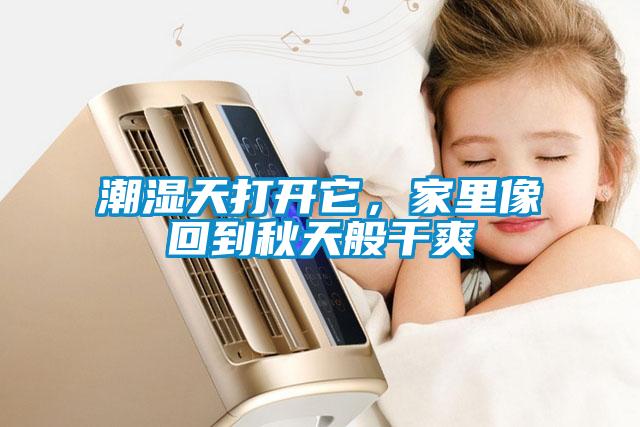 潮湿天打开它，家里像回到秋天般干爽