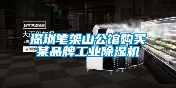 深圳笔架山公馆购买某品牌工业粉色视频免费在线观看