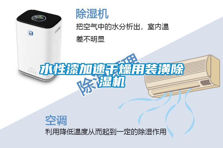 水性漆加速干燥用装潢粉色视频免费在线观看