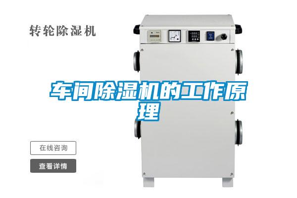 车间粉色视频免费在线观看的工作原理