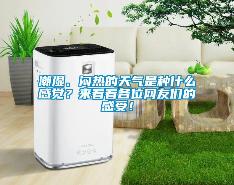 潮湿、闷热的天气是种什么感觉？来看看各位网友们的感受！