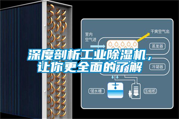深度剖析工业粉色视频免费在线观看，让你更全面的了解