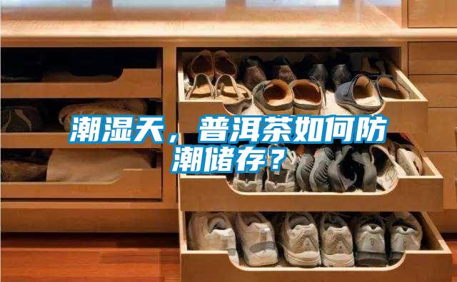 潮湿天，普洱茶如何防潮储存？