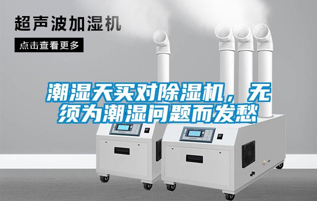 潮湿天买对粉色视频免费在线观看，无须为潮湿问题而发愁