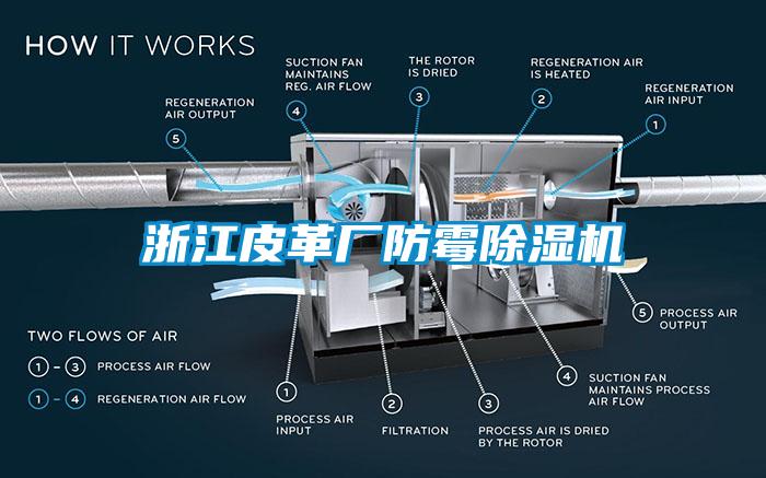 浙江皮革厂防霉粉色视频免费在线观看
