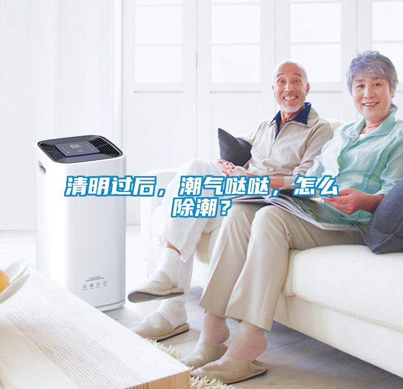 清明过后，潮气哒哒，怎么除潮？