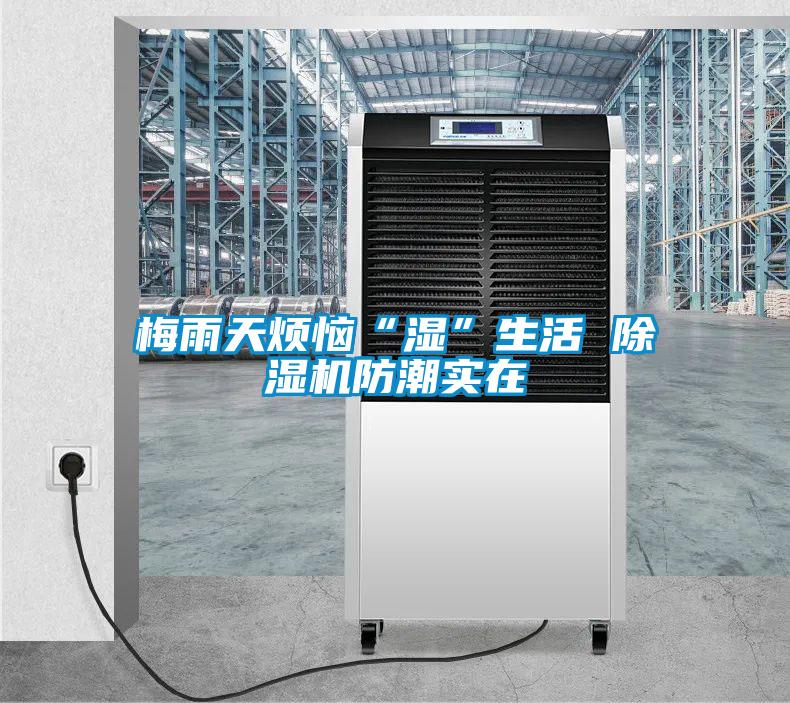 梅雨天烦恼“湿”生活 粉色视频免费在线观看防潮实在