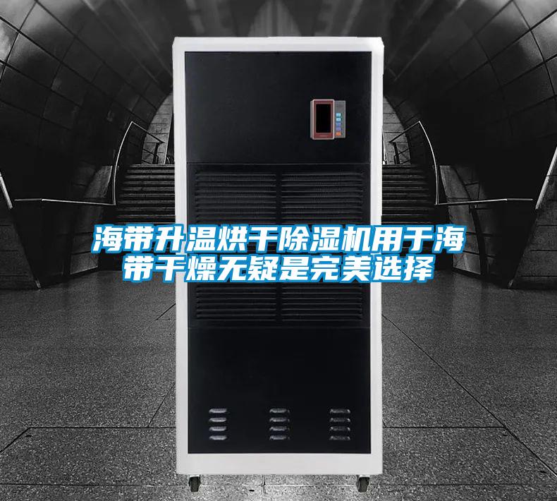 海带升温烘干粉色视频免费在线观看用于海带干燥无疑是完美选择