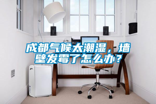 成都气候太潮湿，墙壁发霉了怎么办？