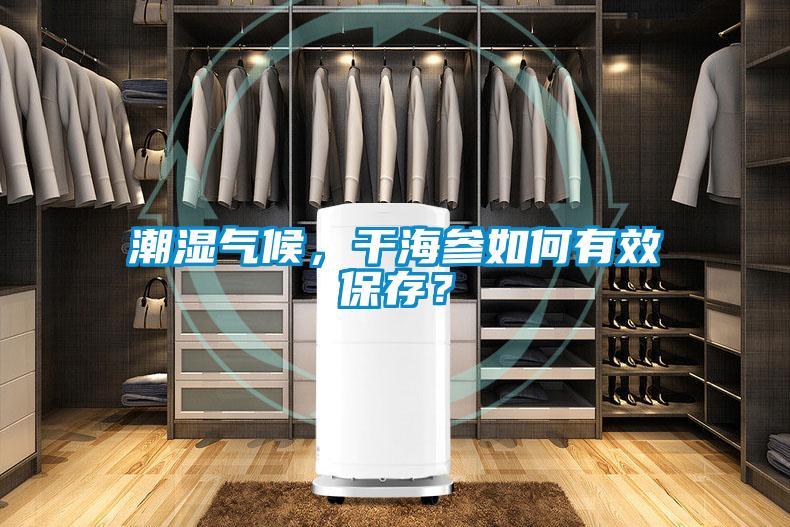 潮湿气候，干海参如何有效保存？