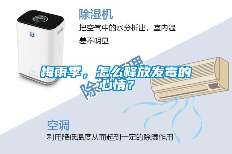 梅雨季，怎么释放发霉的心情？