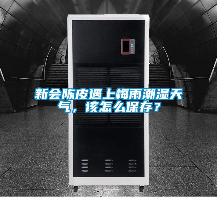 新会陈皮遇上梅雨潮湿天气，该怎么保存？