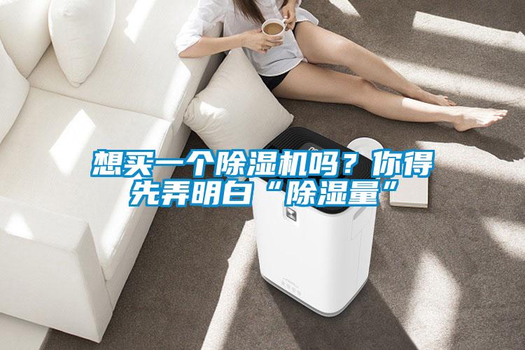想买一个粉色视频免费在线观看吗？你得先弄明白“除湿量”