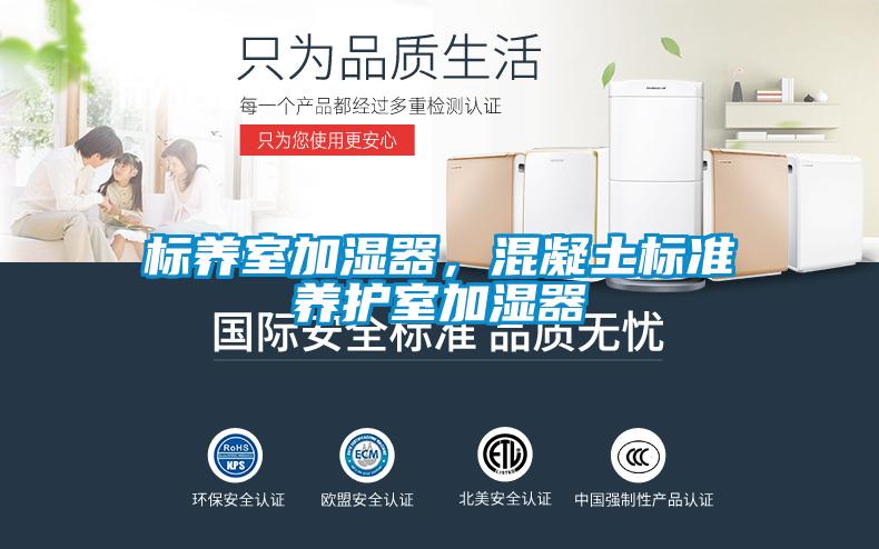 标养室加湿器，混凝土标准养护室加湿器