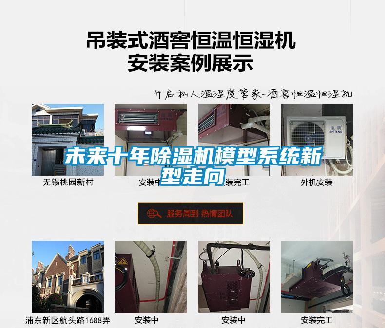 未来十年粉色视频免费在线观看模型系统新型走向