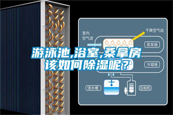游泳池,浴室,桑拿房该如何除湿呢？