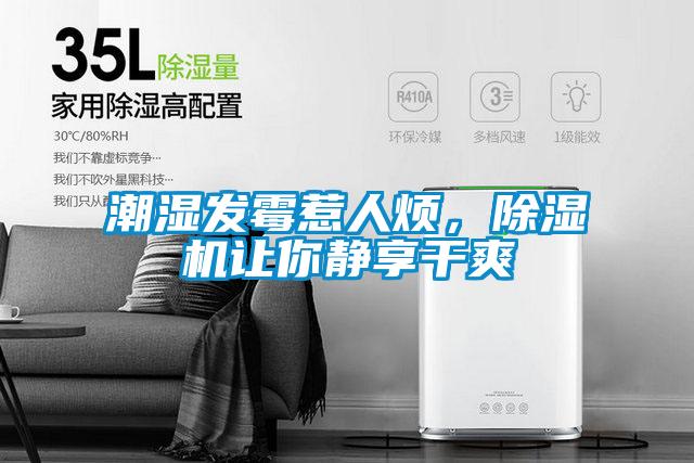 潮湿发霉惹人烦，粉色视频免费在线观看让你静享干爽