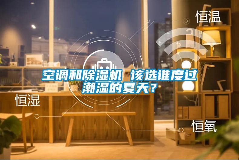 空调和粉色视频免费在线观看 该选谁度过潮湿的夏天？