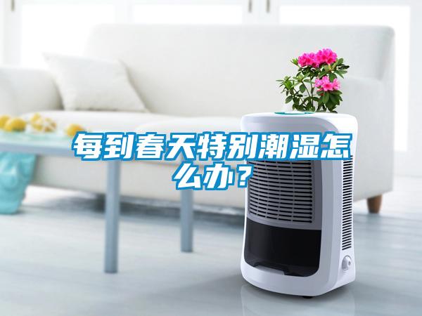 每到春天特别潮湿怎么办？