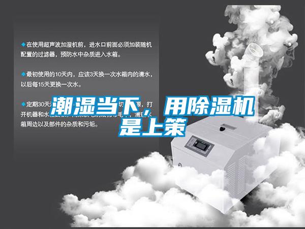 潮湿当下，用粉色视频免费在线观看是上策