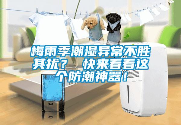梅雨季潮湿异常不胜其扰？ 快来看看这个防潮神器！