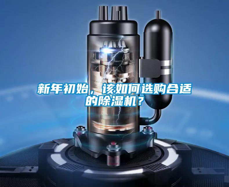 新年初始，该如何选购合适的粉色视频免费在线观看？