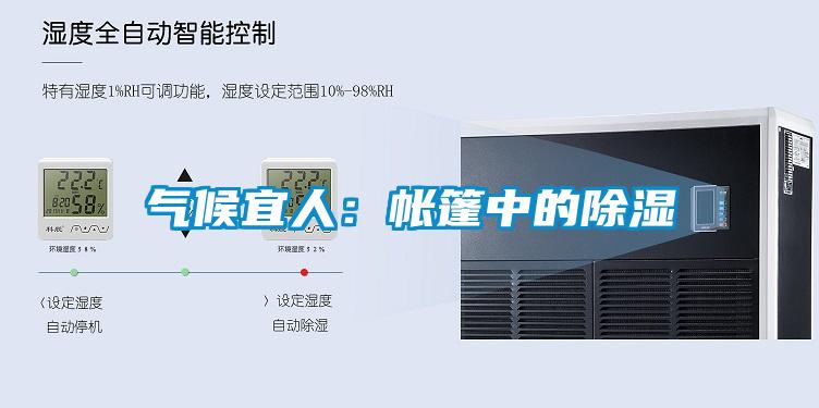气候宜人：帐篷中的除湿