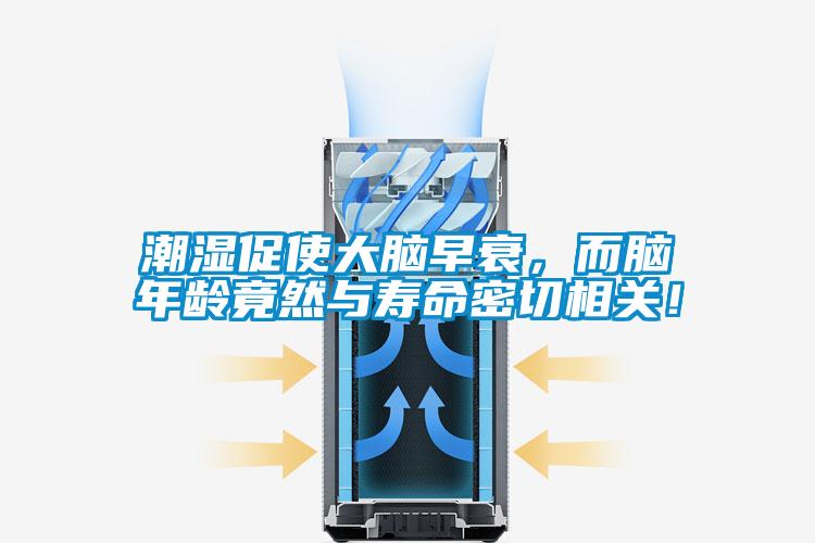 潮湿促使大脑早衰，而脑年龄竟然与寿命密切相关！