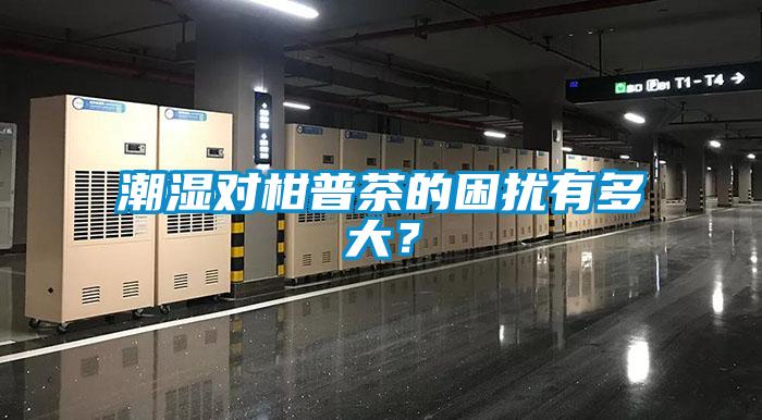 潮湿对柑普茶的困扰有多大？