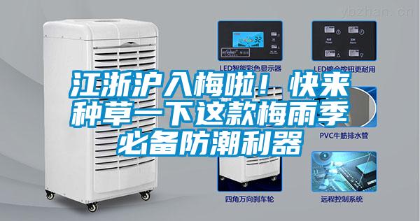 江浙沪入梅啦！快来种草一下这款梅雨季必备防潮利器