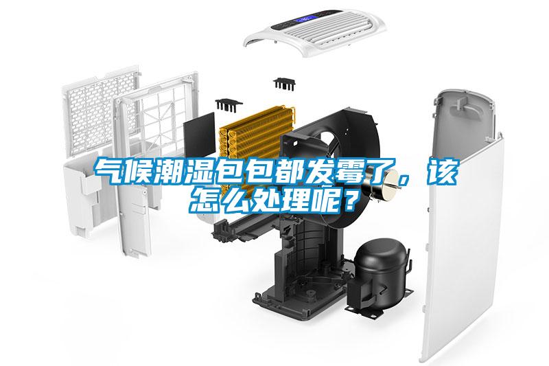 气候潮湿包包都发霉了，该怎么处理呢？