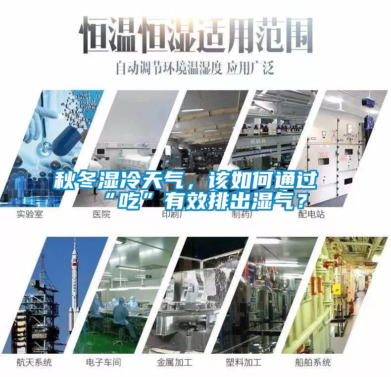 秋冬湿冷天气，该如何通过“吃”有效排出湿气？