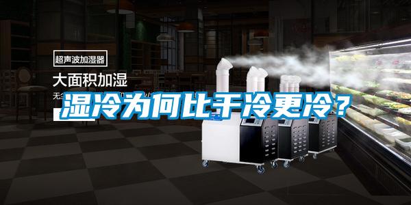 湿冷为何比干冷更冷？