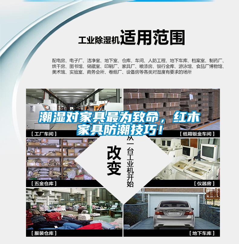 潮湿对家具最为致命，红木家具防潮技巧！