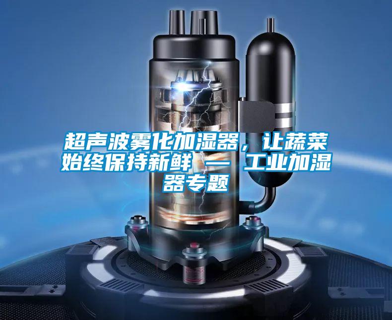 超声波雾化加湿器，让蔬菜始终保持新鲜 — 工业加湿器专题
