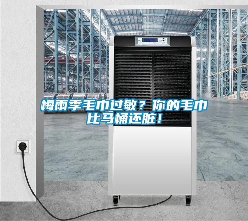 梅雨季毛巾过敏？你的毛巾比马桶还脏！