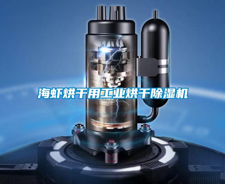 海虾烘干用工业烘干粉色视频免费在线观看
