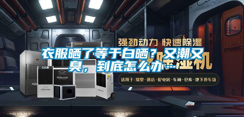 衣服晒了等于白晒？又潮又臭，到底怎么办…