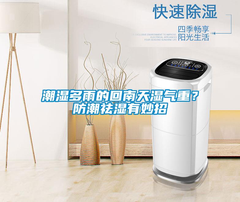 潮湿多雨的回南天湿气重？防潮祛湿有妙招