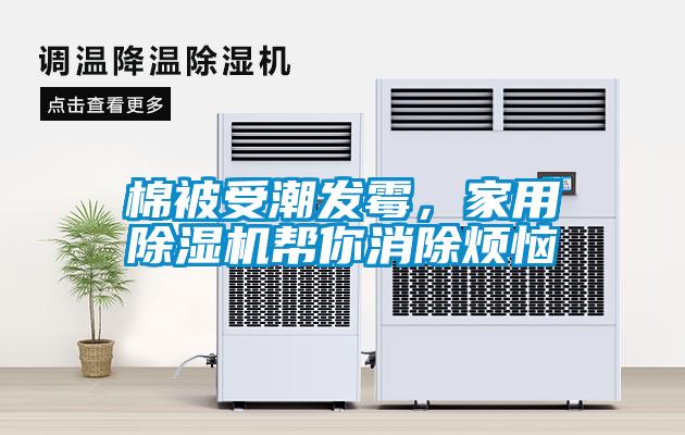 棉被受潮发霉，家用粉色视频免费在线观看帮你消除烦恼