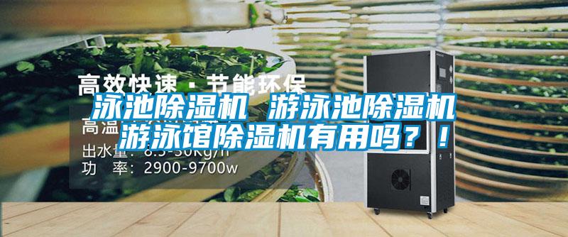 泳池粉色视频免费在线观看 游泳池粉色视频免费在线观看 游泳馆粉色视频免费在线观看有用吗？！